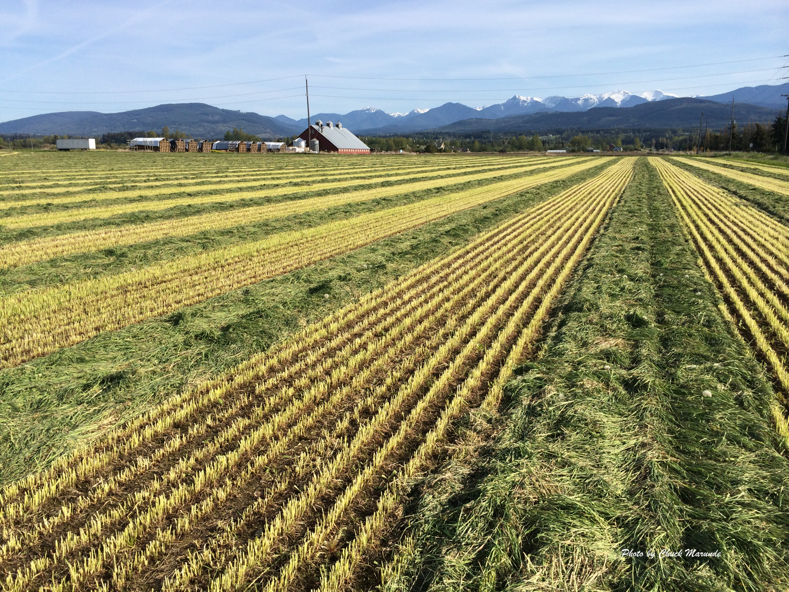 Sequim Weather Sunny in the Blue Hole Homes and Land in Sunny Sequim, Washington